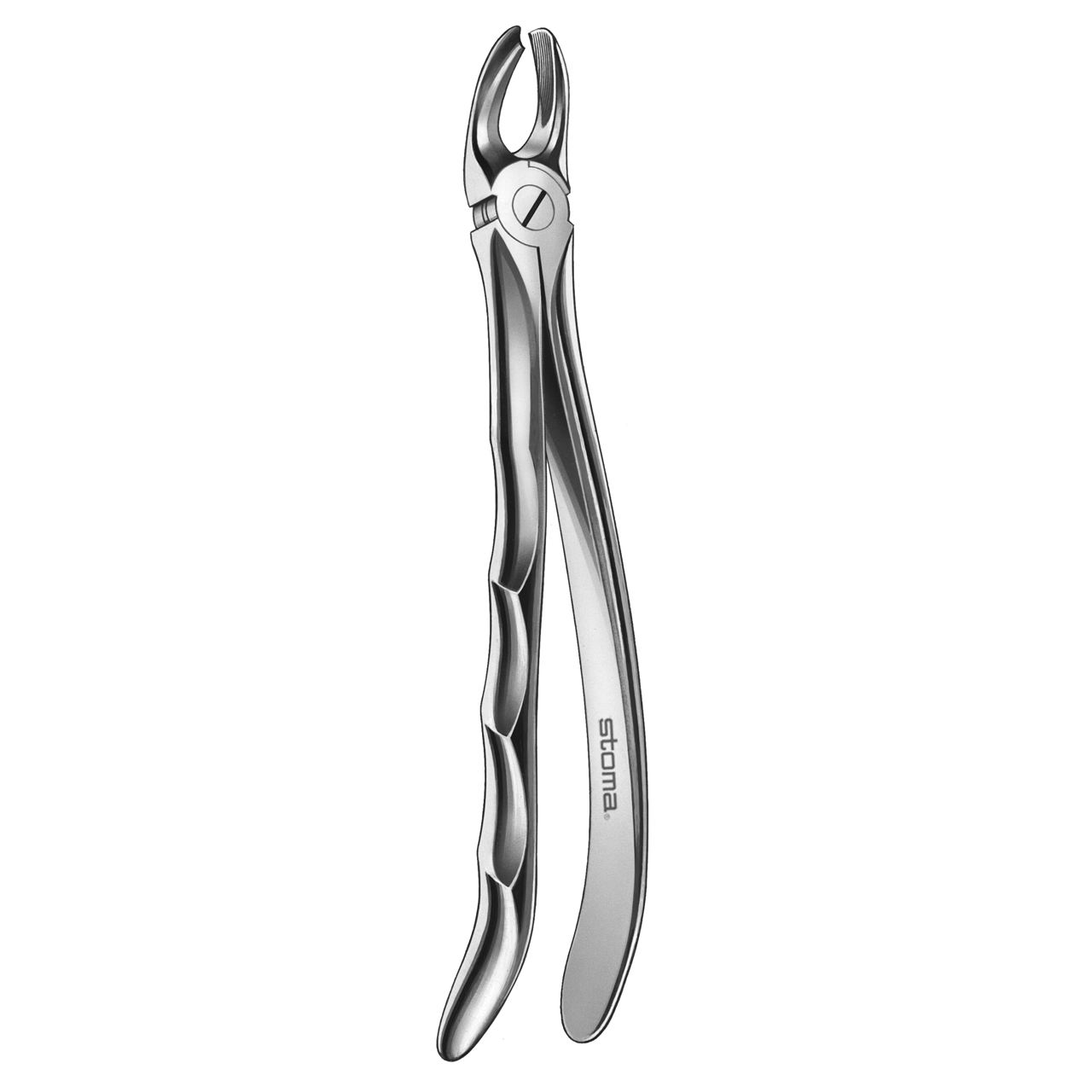 Zahnzange OK Molaren, rechts, Fig. 17, Fifo