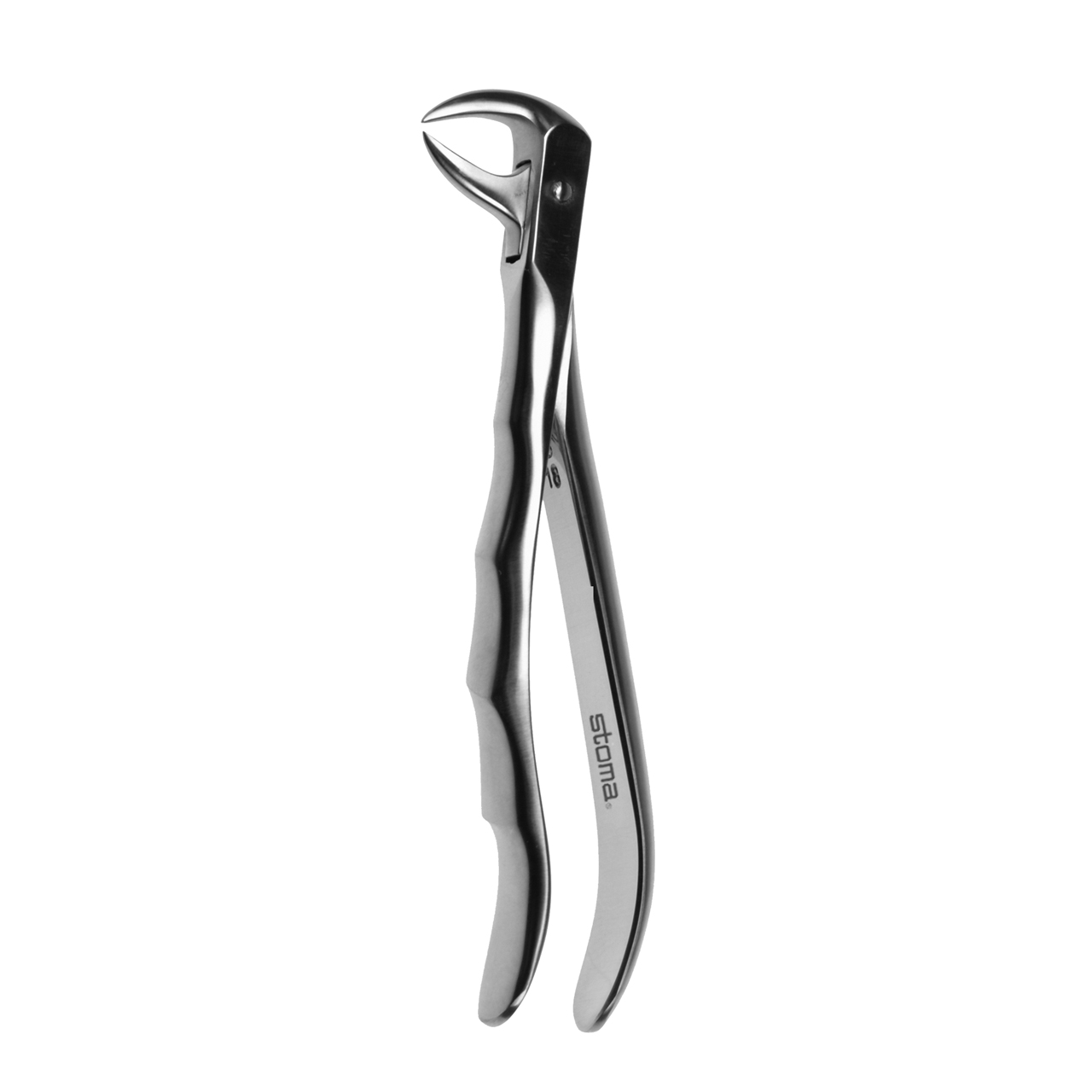 Zahnzange UK Molaren, Doppeldorn, Fig. 86, Fifo