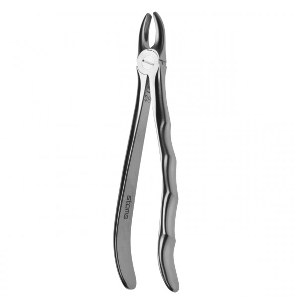 Forceps upper incisors and canines, broad, fig. 1, Fifo