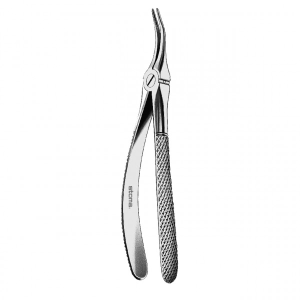 Forceps upper, fine roots