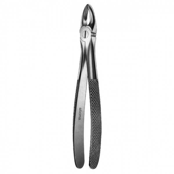 Forceps upper incisors and canines, broad, fig. 1